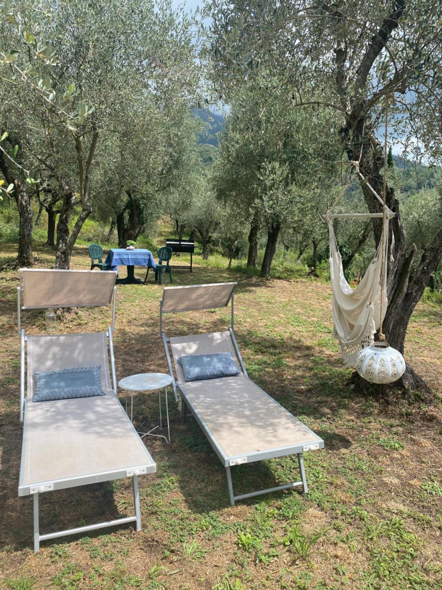Sotto Il Cielo Di Toscana Appartamenti In Tenuta Only Adults No Pet Камайоре Екстер'єр фото